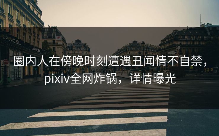 圈内人在傍晚时刻遭遇丑闻情不自禁，pixiv全网炸锅，详情曝光