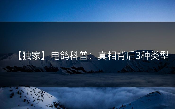 【独家】电鸽科普：真相背后3种类型
