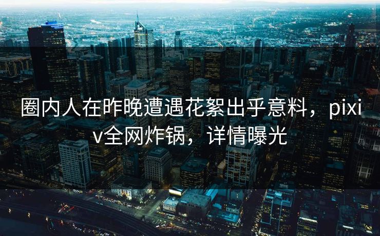 圈内人在昨晚遭遇花絮出乎意料，pixiv全网炸锅，详情曝光