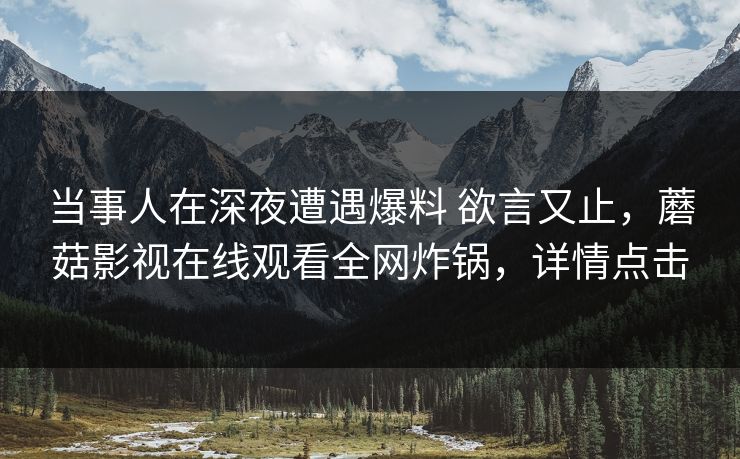当事人在深夜遭遇爆料 欲言又止，蘑菇影视在线观看全网炸锅，详情点击